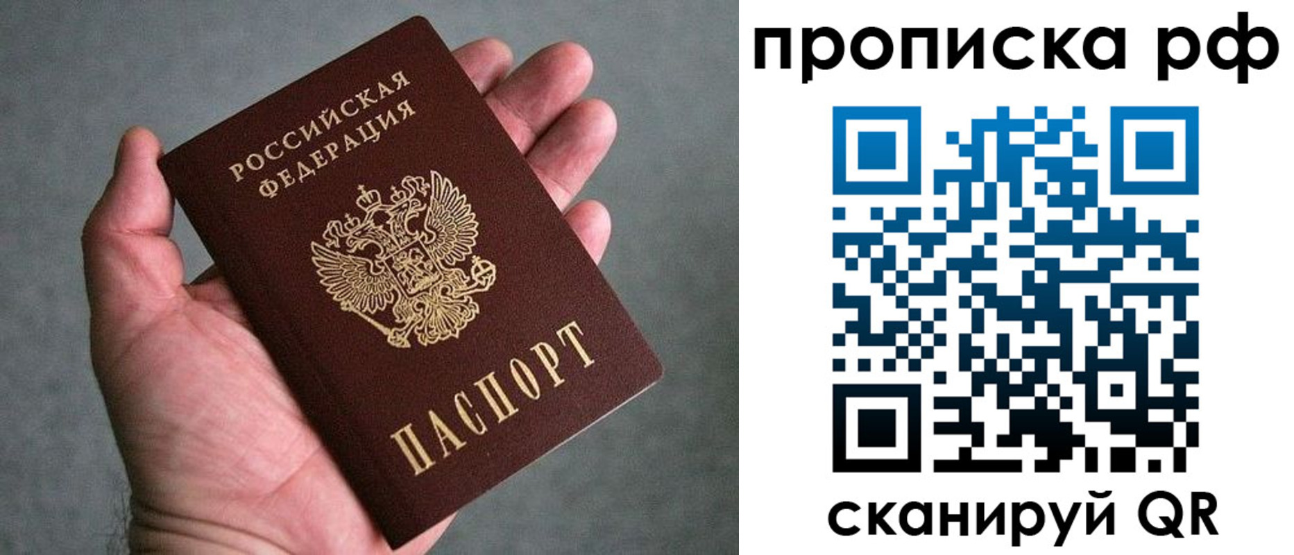 прописка поиск в Белёве